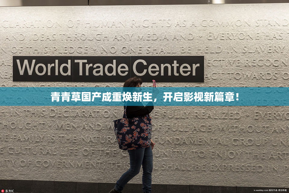 青青草国产成重焕新生，开启影视新篇章！