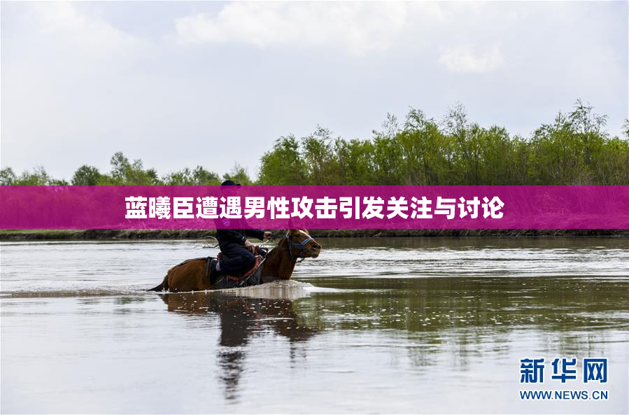 蓝曦臣遭遇男性攻击引发关注与讨论