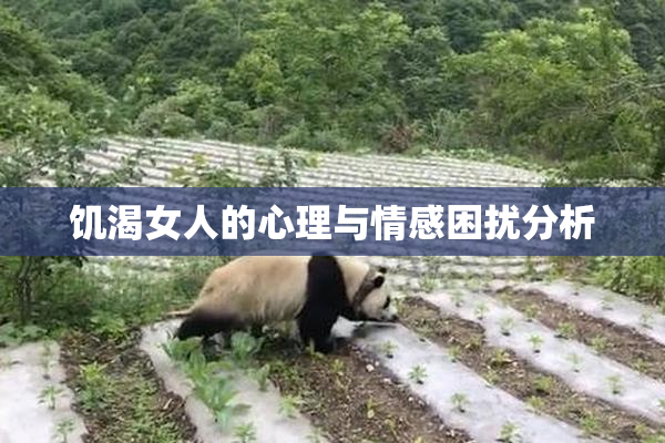 饥渴女人的心理与情感困扰分析