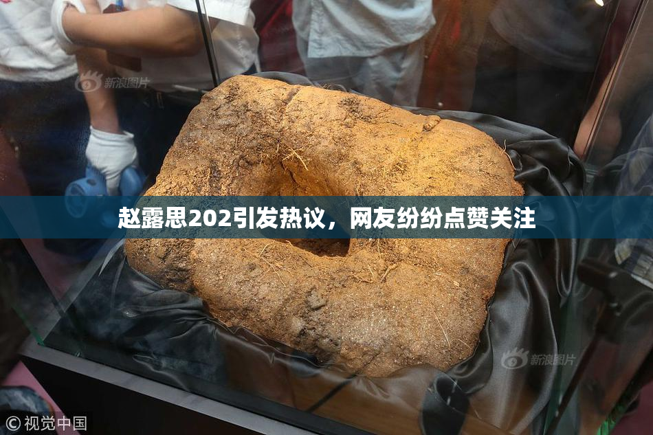 赵露思202引发热议，网友纷纷点赞关注