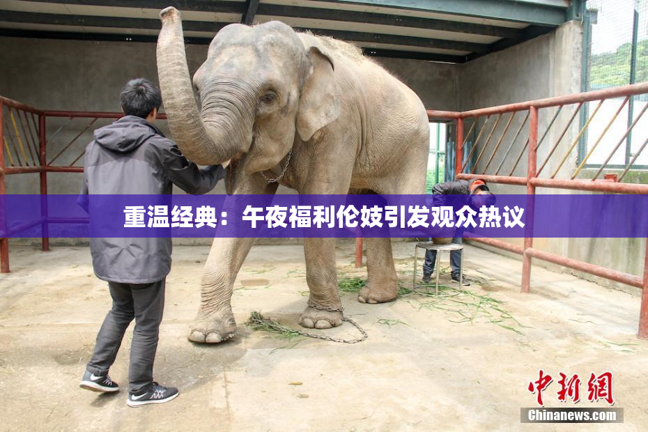 重温经典：午夜福利伦妓引发观众热议