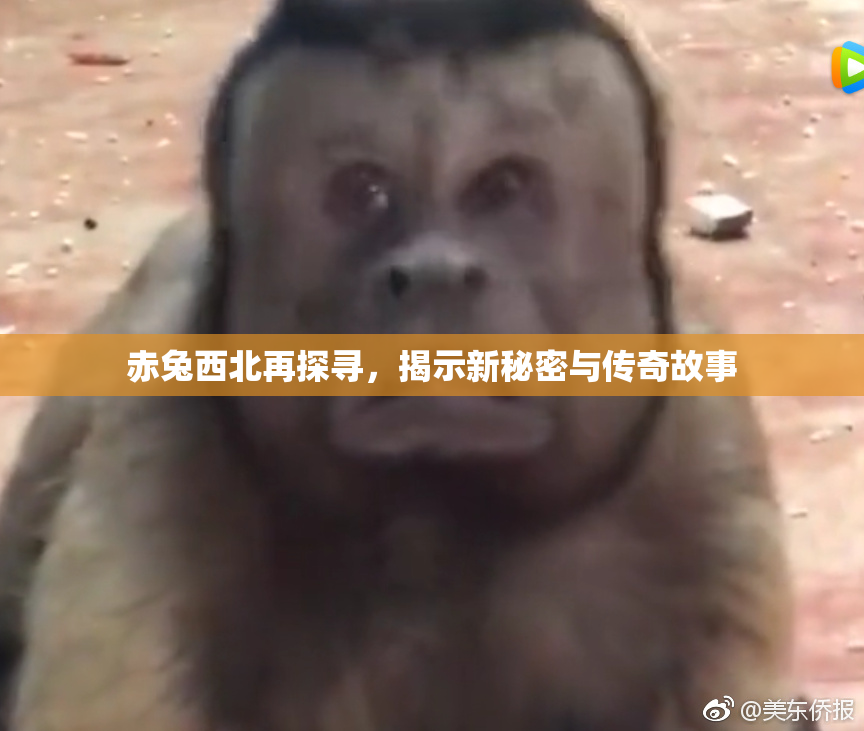 赤兔西北再探寻，揭示新秘密与传奇故事