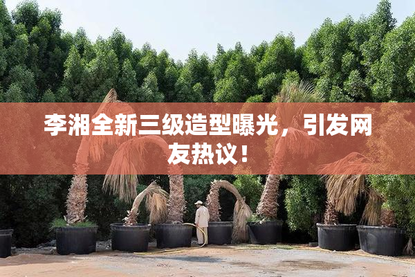 李湘全新三级造型曝光，引发网友热议！