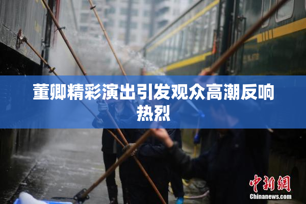 董卿精彩演出引发观众高潮反响热烈