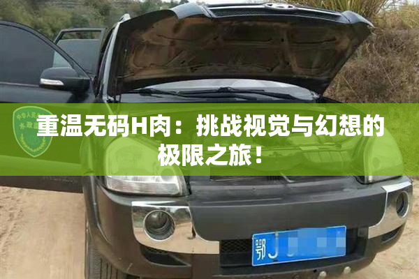 重温无码H肉：挑战视觉与幻想的极限之旅！