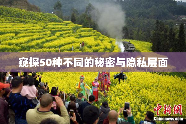 窥探50种不同的秘密与隐私层面