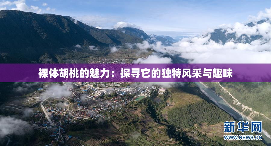 裸体胡桃的魅力：探寻它的独特风采与趣味