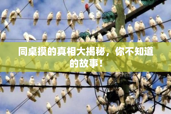 同桌摸的真相大揭秘，你不知道的故事！