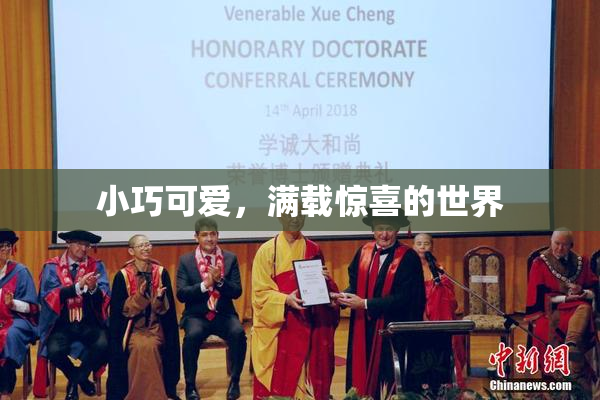 小巧可爱，满载惊喜的世界