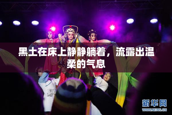 黑土在床上静静躺着，流露出温柔的气息