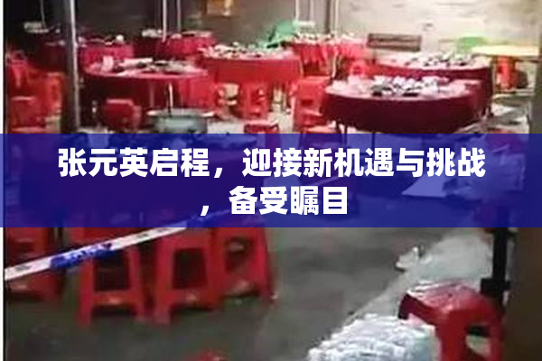 张元英启程，迎接新机遇与挑战，备受瞩目
