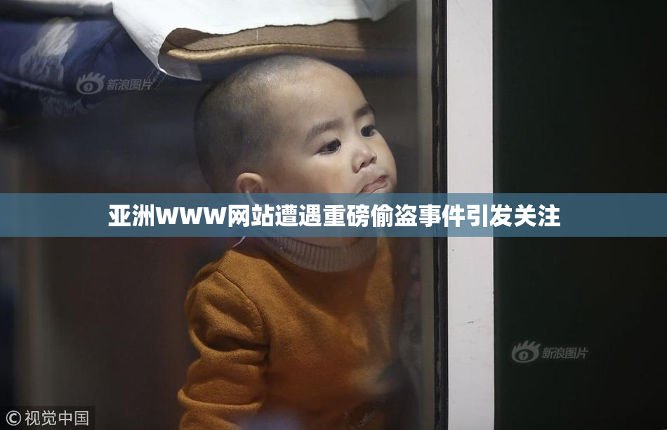 亚洲WWW网站遭遇重磅偷盗事件引发关注