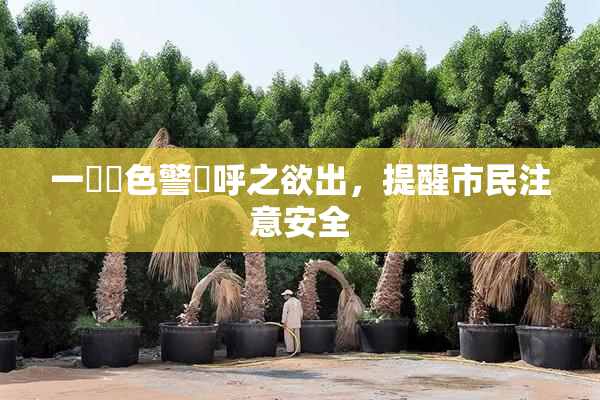 一級黃色警報呼之欲出，提醒市民注意安全
