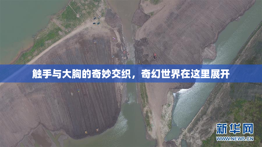 触手与大胸的奇妙交织，奇幻世界在这里展开