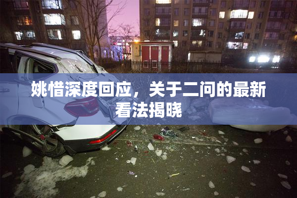 姚惜深度回应，关于二问的最新看法揭晓
