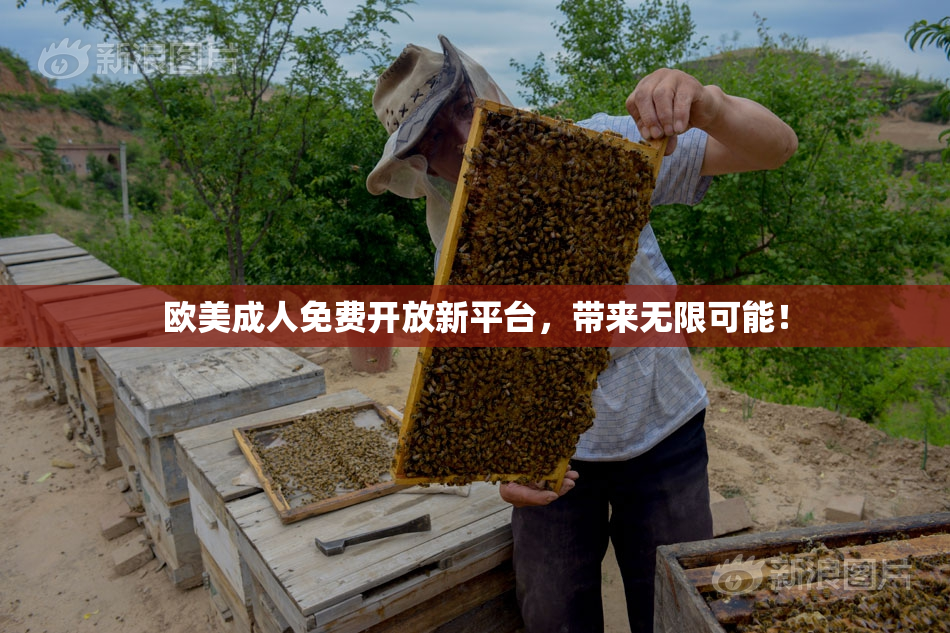 欧美成人免费开放新平台，带来无限可能！