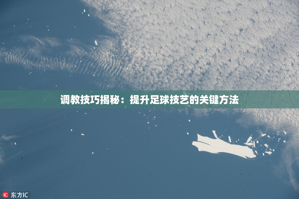 调教技巧揭秘：提升足球技艺的关键方法