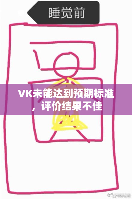 VK未能达到预期标准，评价结果不佳