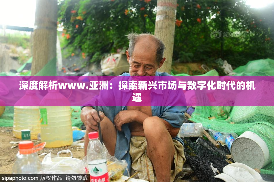深度解析www.亚洲：探索新兴市场与数字化时代的机遇