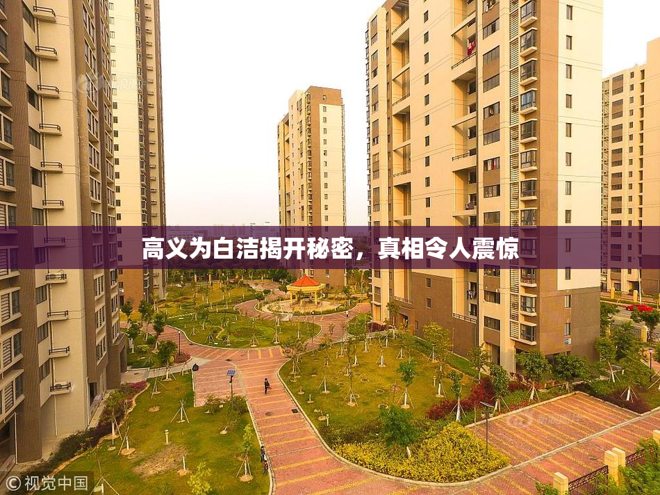 高义为白洁揭开秘密，真相令人震惊