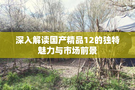 深入解读国产精品12的独特魅力与市场前景