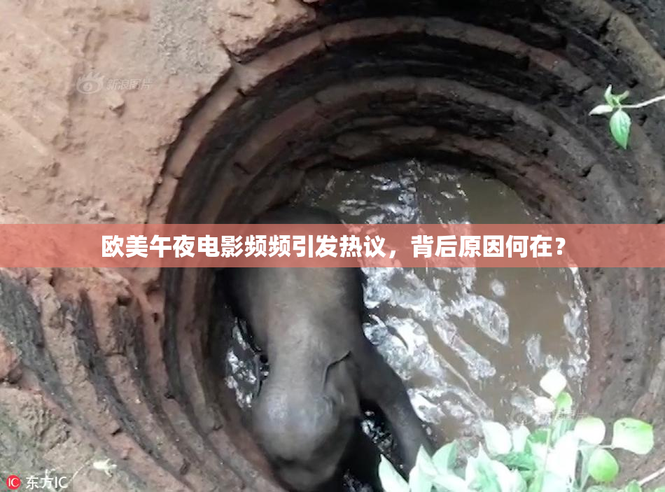 欧美午夜电影频频引发热议，背后原因何在？