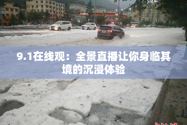 9.1在线观：全景直播让你身临其境的沉浸体验
