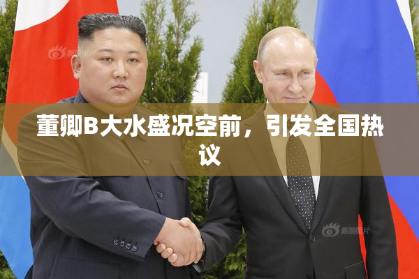 董卿B大水盛况空前，引发全国热议