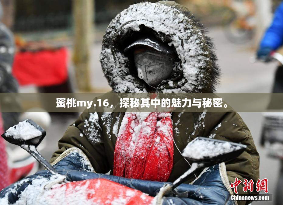 蜜桃my.16，探秘其中的魅力与秘密。