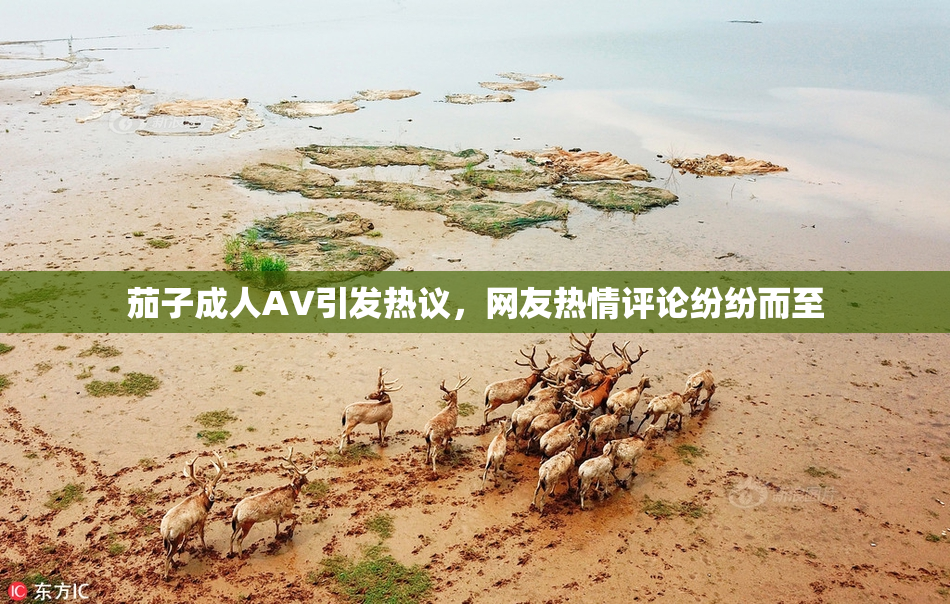 茄子成人AV引发热议，网友热情评论纷纷而至