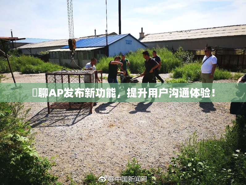 躶聊AP发布新功能，提升用户沟通体验！