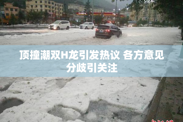 顶撞潮双H龙引发热议 各方意见分歧引关注