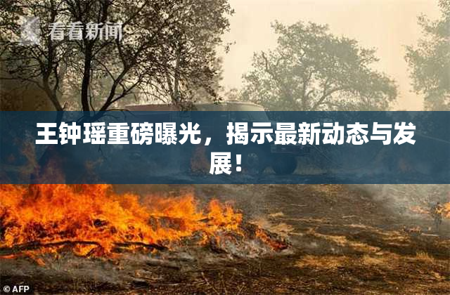 王钟瑶重磅曝光，揭示最新动态与发展！