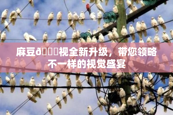 麻豆🔞视全新升级，带您领略不一样的视觉盛宴
