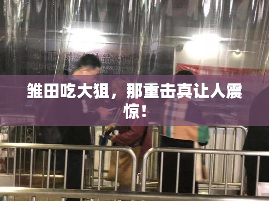 雏田吃大狙，那重击真让人震惊！