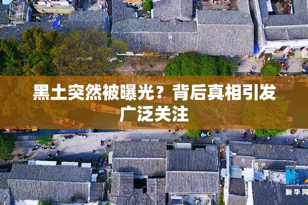 黑土突然被曝光？背后真相引发广泛关注