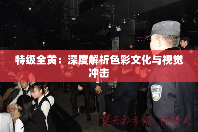 特级全黄：深度解析色彩文化与视觉冲击