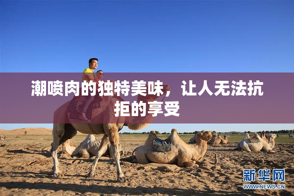 潮喷肉的独特美味，让人无法抗拒的享受