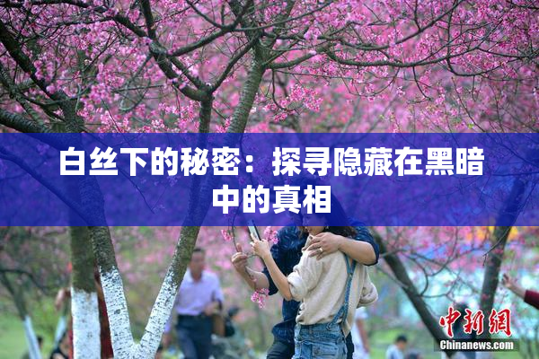 白丝下的秘密：探寻隐藏在黑暗中的真相