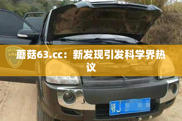 蘑菇63.㏄：新发现引发科学界热议