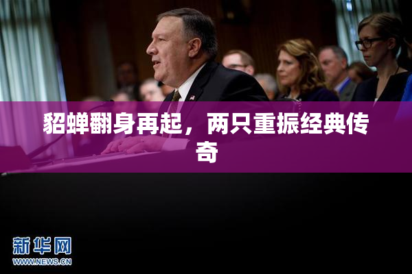 貂蝉翻身再起，两只重振经典传奇