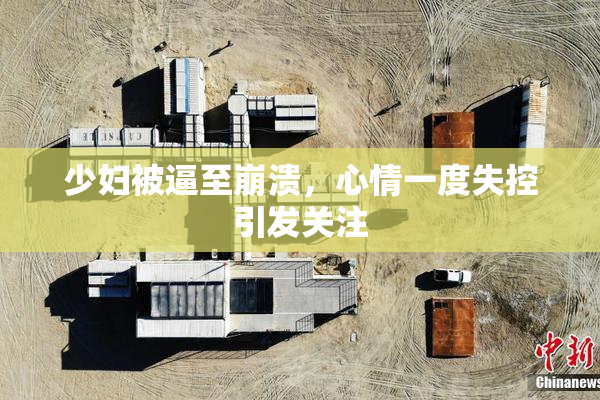 少妇被逼至崩溃，心情一度失控引发关注