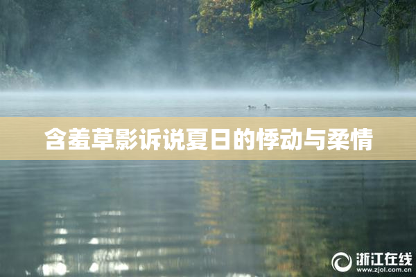 含羞草影诉说夏日的悸动与柔情