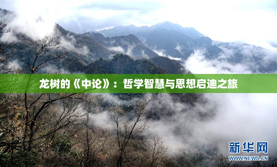 龙树的《中论》：哲学智慧与思想启迪之旅