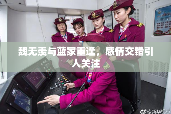 魏无羡与蓝家重逢，感情交错引人关注