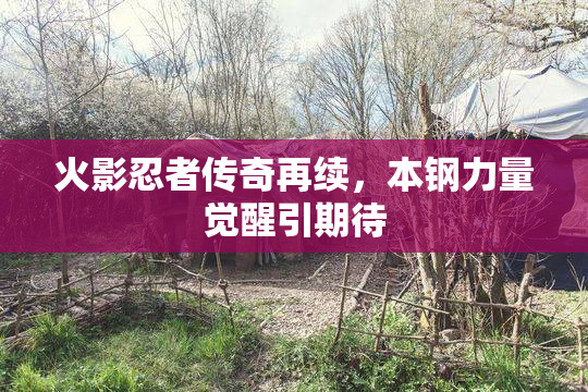 火影忍者传奇再续，本钢力量觉醒引期待