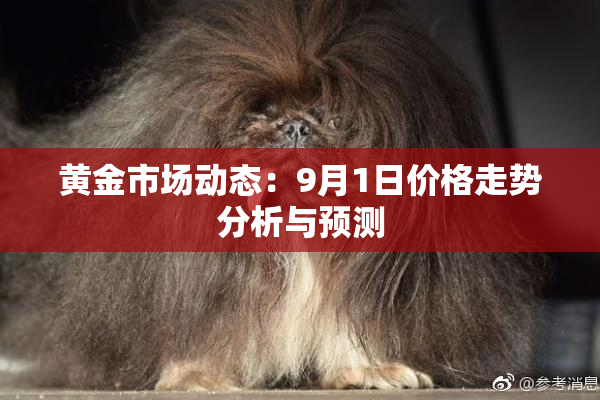 黄金市场动态：9月1日价格走势分析与预测
