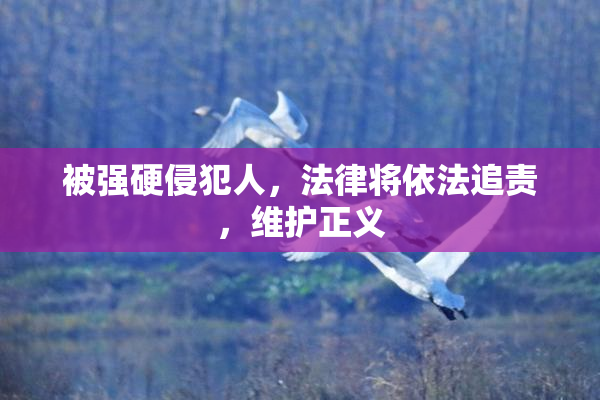 被强硬侵犯人，法律将依法追责，维护正义