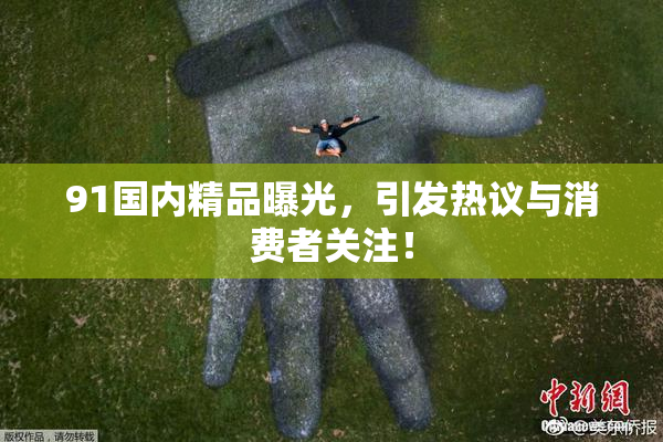 91国内精品曝光，引发热议与消费者关注！