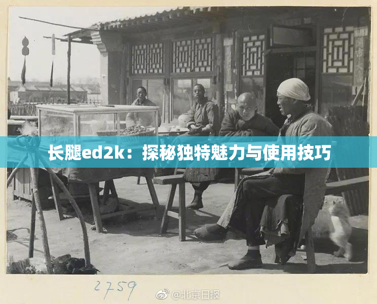 长腿ed2k：探秘独特魅力与使用技巧